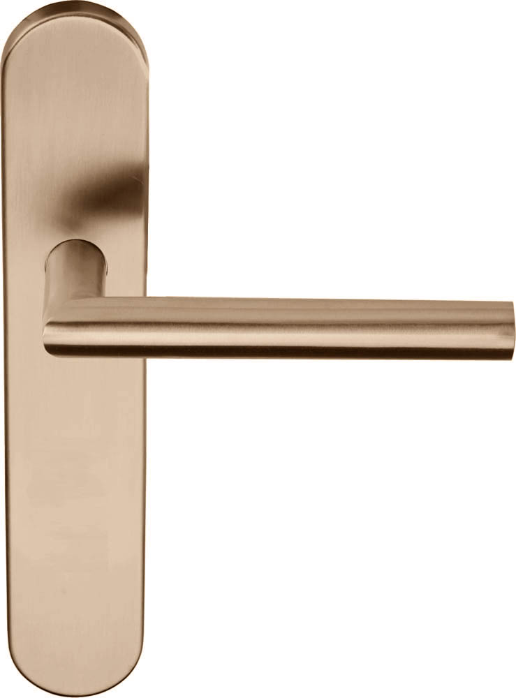LB2-19P13SFC - sprung lever handle on blank plate PVD light bronze