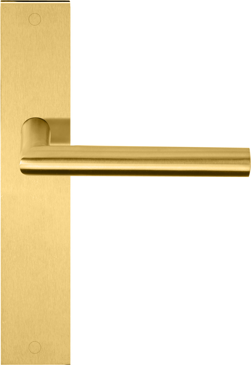 LB2-19P236SFC - unsprung lever handle on blank plate PVD satin gold