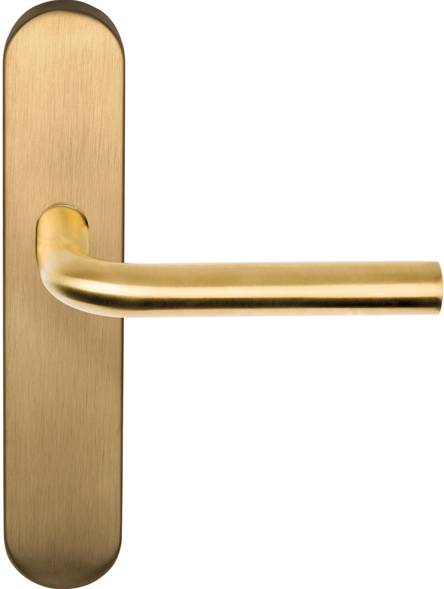 LB3-19P13SFC - sprung lever handle on blank plate PVD satin gold