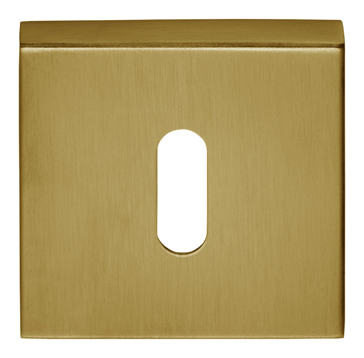 BSQN53 - key escutcheon PVD satin gold