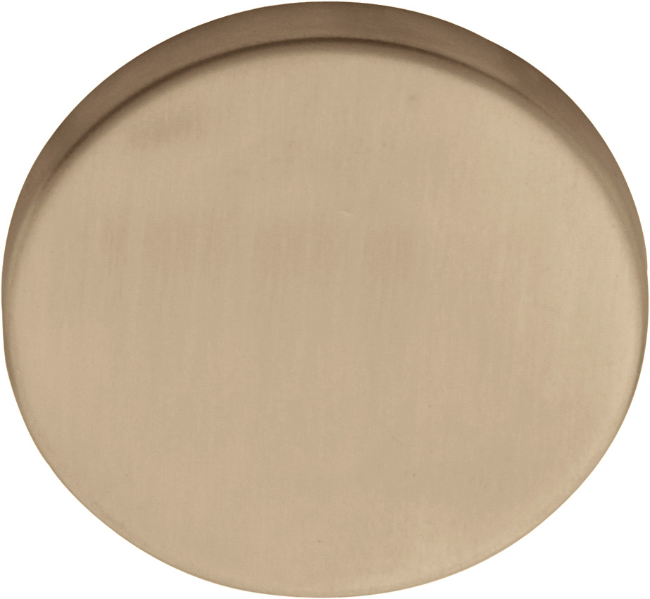 LBB50 - blank escutcheon 6mm PVD light bronze