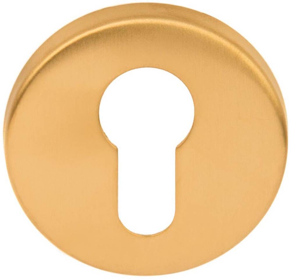 LBY50 - profile cylinder escutcheon 6mm PVD satin gold