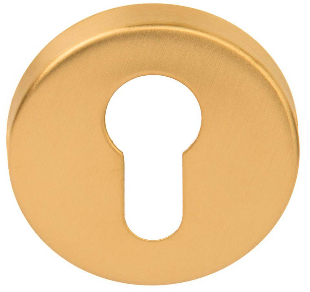 LBY50D - profile cylinder escutcheon 10mm PVD satin gold