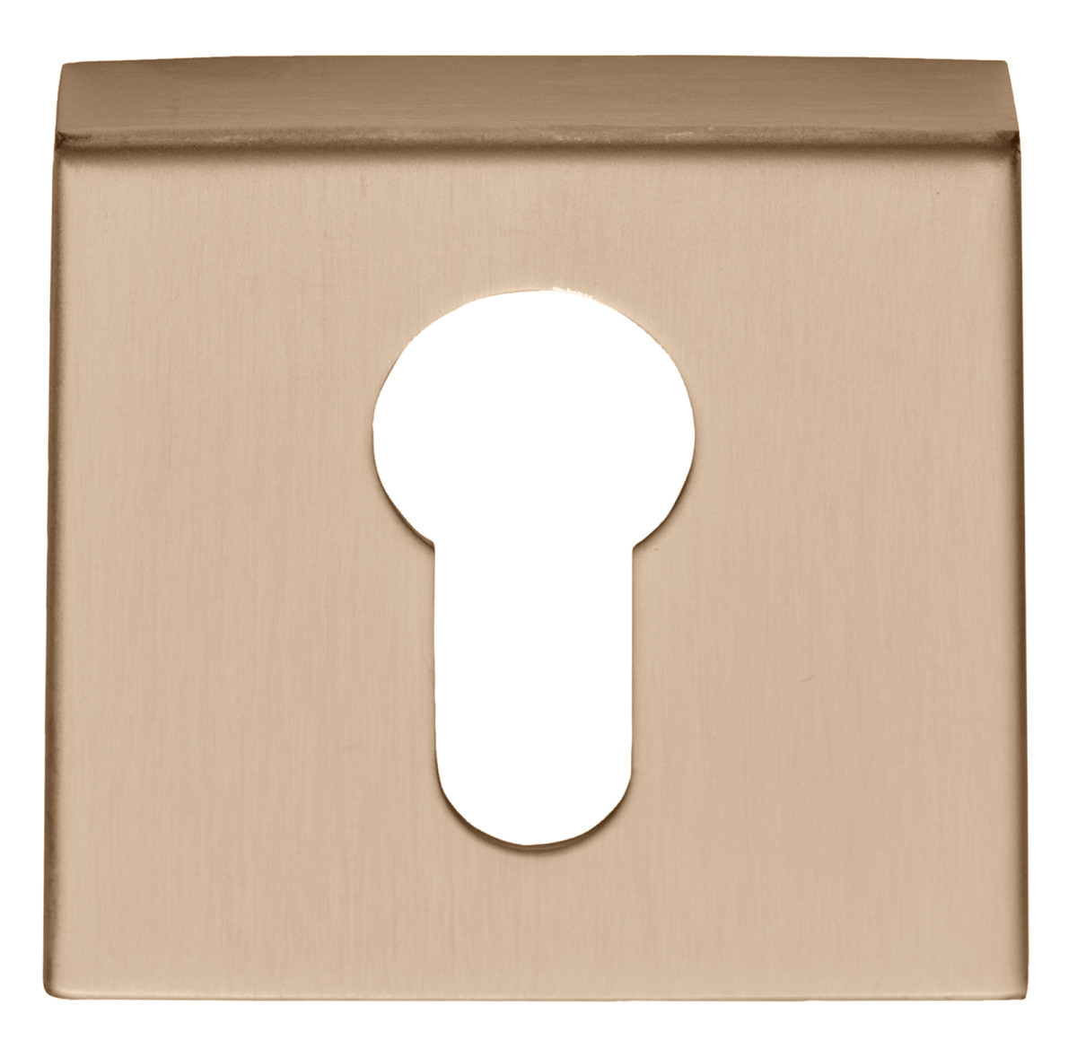 BSQY53 - profile cylinder escutcheon PVD light bronze
