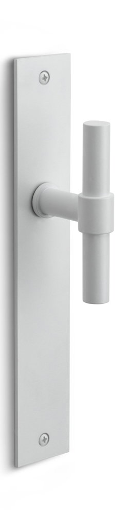 PBT15VP236SFC - fixed knob on blank plate white