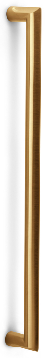DR501 - IM ECLIPSE DR501 PS pull handle with bolt-through fixing PVD satin gold
